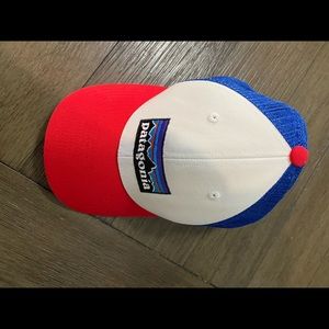 Patagonia trucker hat